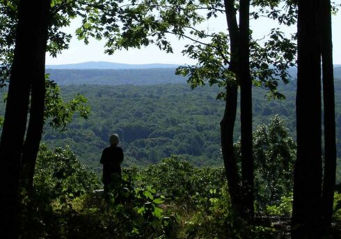 View to horizon from Shenipsit